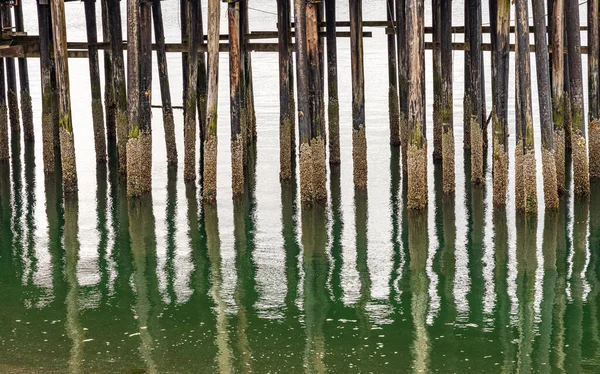 Reflection Wooden Pilings Pier Cold Ocean Icy Strait Point Alaska — Stock Fotó