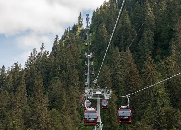 Hoonah June 2022 New Cable Car Ride Mountain Top Icy — Foto Stock