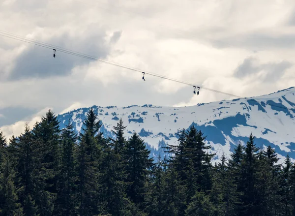 Multiple Passengers Harnesses Seats Zip Line Mountain Top Icy Strait — ストック写真