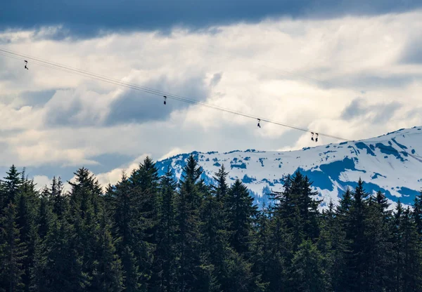 Multiple Passengers Harnesses Seats Zip Line Mountain Top Icy Strait — 스톡 사진