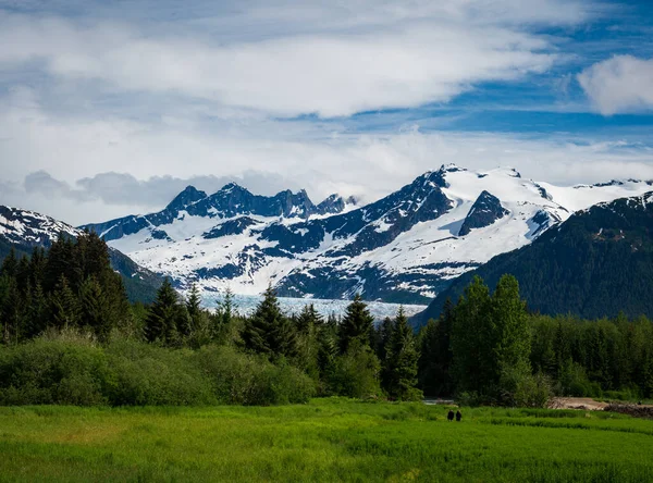 Ghiacciaio Mendenhall Valle Visti Dal Ponte Della Confraternita Sulla Glacier — Foto Stock