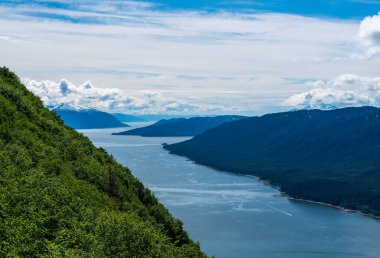 Alaska, Juneau 'daki okyanusa giden nehir manzarası Roberts Dağı' ndan görüldüğü gibi.