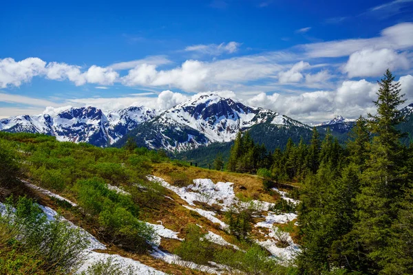 View Top Tram Mount Bradley City Juneau Alaska — 스톡 사진