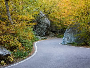 Kaçakçılar Notch 'ta sonbaharda kayalar arasındaki dar kıvrım