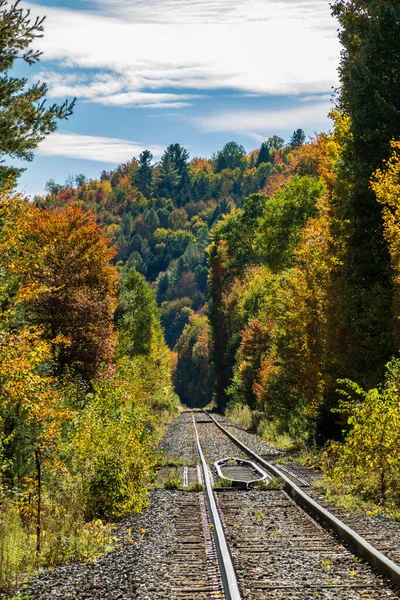 Vía Del Tren Vacía Conduce Bosque Otoño Con Colores Otoñales —  Fotos de Stock