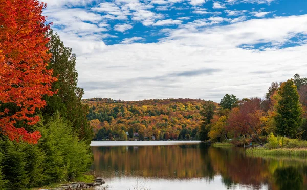 Perfect Rustig Silver Lake Barnard Vermont Weerspiegelt Bomen Tijdens Het — Stockfoto