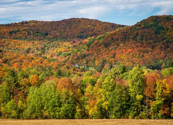 Baumschichten Vielen Herbstfarben Säumen Einen Hang Bei Pomfret Vermont — Stockfoto