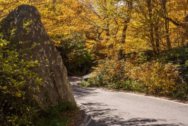 Kaçakçılar Notch 'ta sonbaharda kayalar arasındaki dar kıvrım