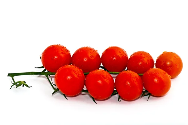 Tomates de cereja em um ramo — Fotografia de Stock