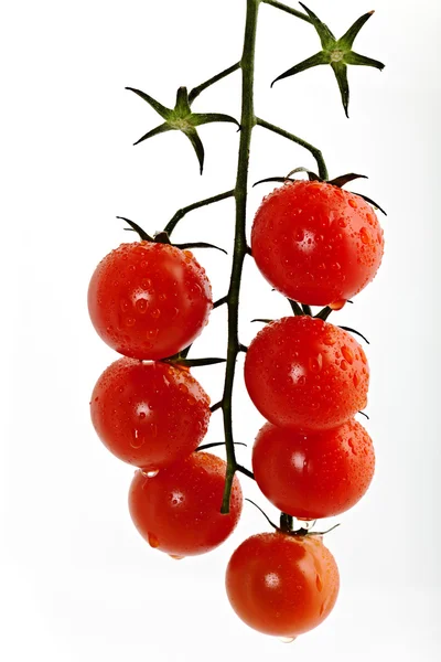 Tomates de cereja em um ramo — Fotografia de Stock