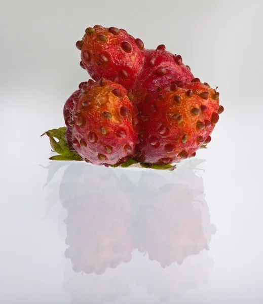 Mutante de fresa —  Fotos de Stock