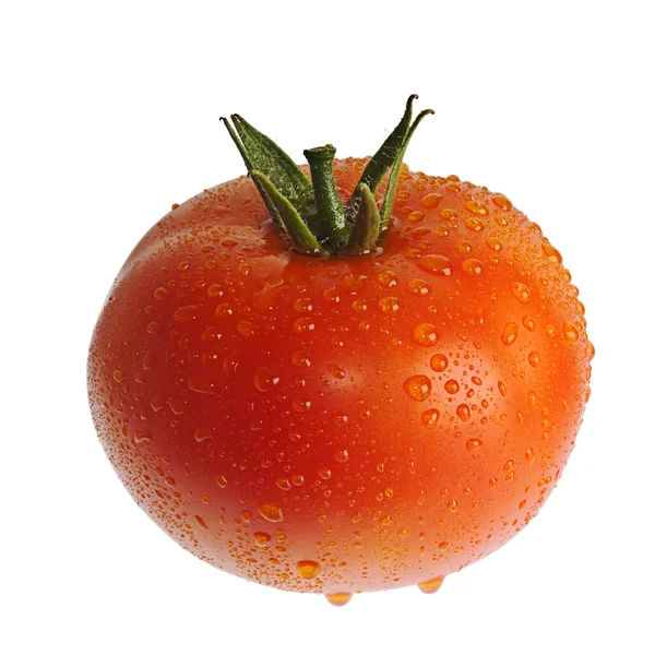 Ripe tomatoes with water drops — Stock Photo, Image