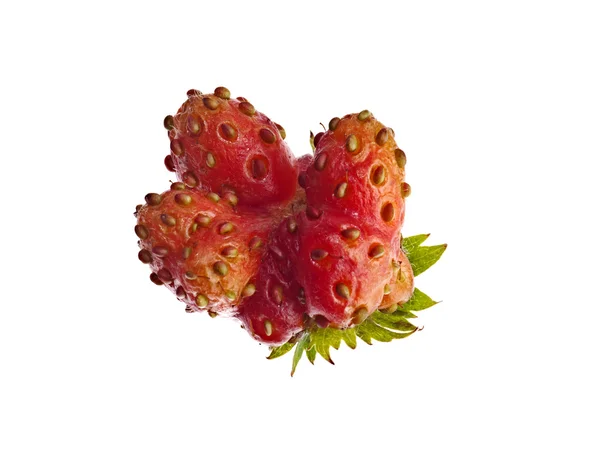 Strawberry mutant Royalty Free Stock Images