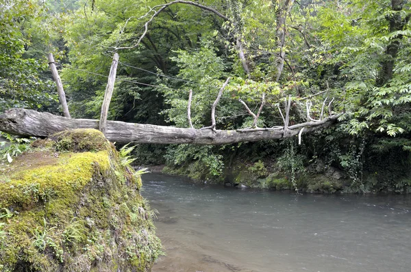 Ponte de corda sobre o rio — Fotografia de Stock