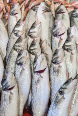 taze balık, Balık pazarı