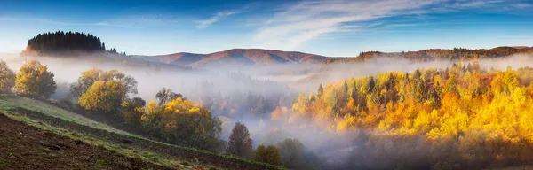 Sonbahar — Stok fotoğraf