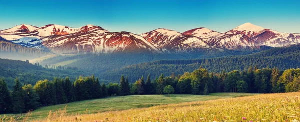 Dağ manzarası — Stok fotoğraf