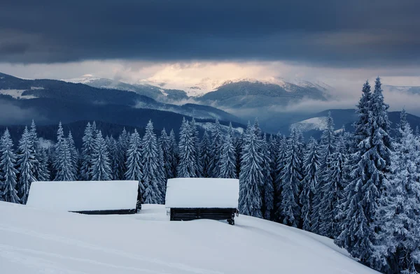 Vinter — Stockfoto