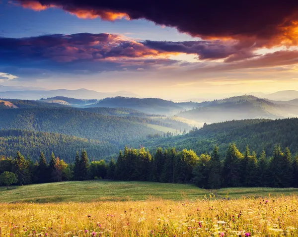 Sonnenuntergang — Stockfoto