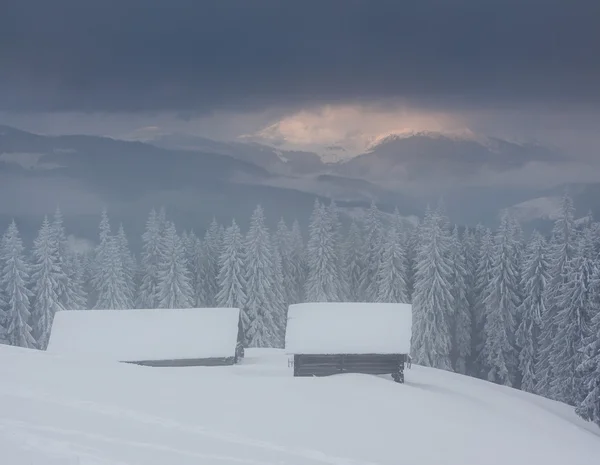 Invierno —  Fotos de Stock