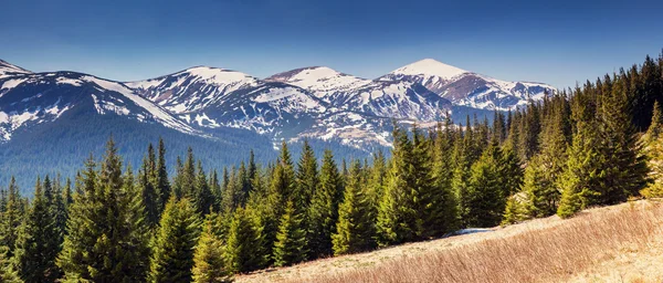 Montañas paisaje — Foto de Stock