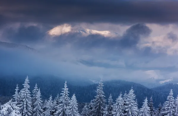 Vinter — Stockfoto