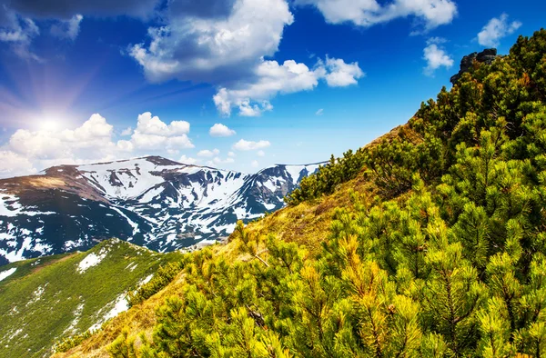 Berglandschap — Stockfoto