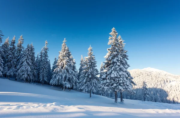 Invierno — Foto de Stock