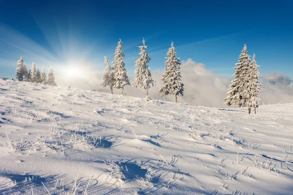 Vinter — Stockfoto