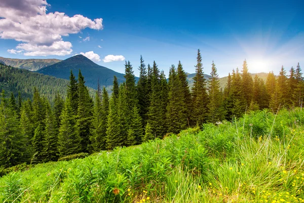 Bergslandskap — Stockfoto