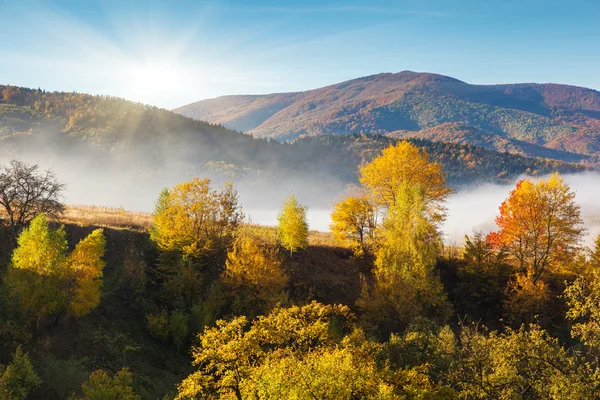 Herbst — Stockfoto