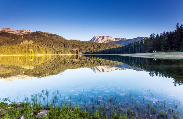 Lago — Fotografia de Stock