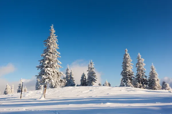 Inverno — Fotografia de Stock