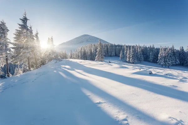 Inverno — Fotografia de Stock