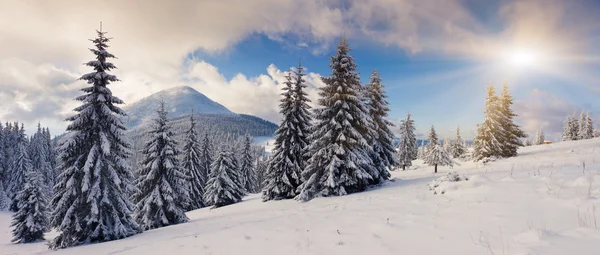 Inverno — Fotografia de Stock