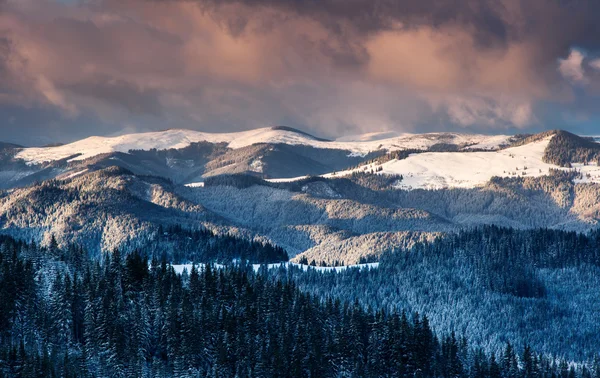 Vinter — Stockfoto