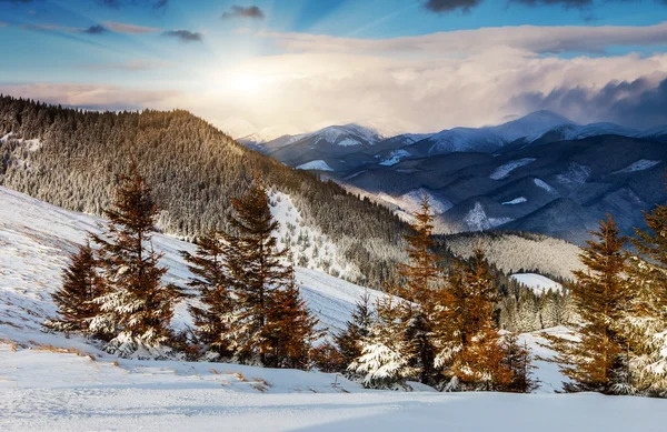 Vinter — Stockfoto