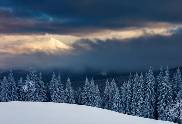 Vinter — Stockfoto