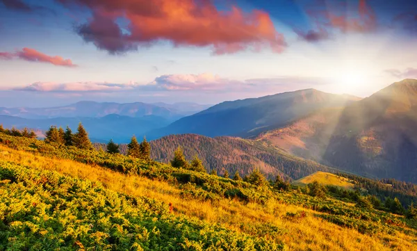 Pôr do sol — Fotografia de Stock