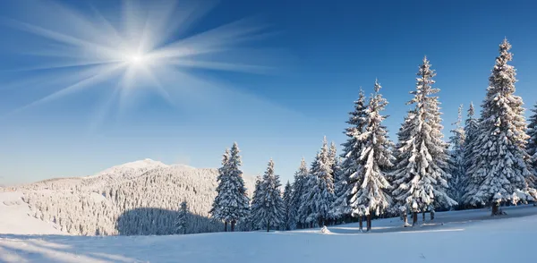 Vinter — Stockfoto