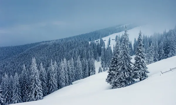 Inverno — Fotografia de Stock