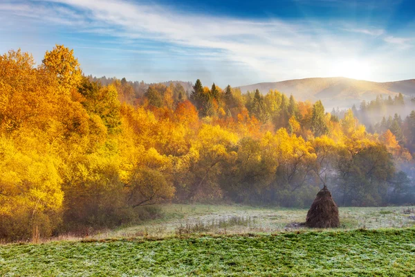 Herfst — Stockfoto