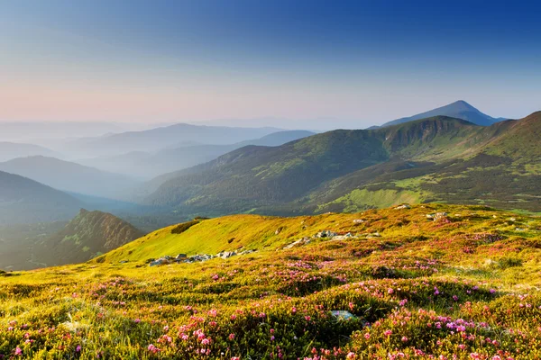 Berglandschap — Stockfoto