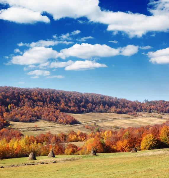 Herbst — Stockfoto