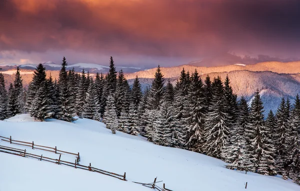 Vinter — Stockfoto