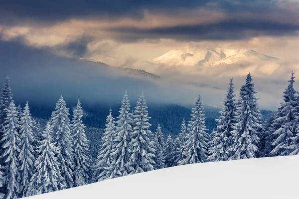 Invierno — Foto de Stock