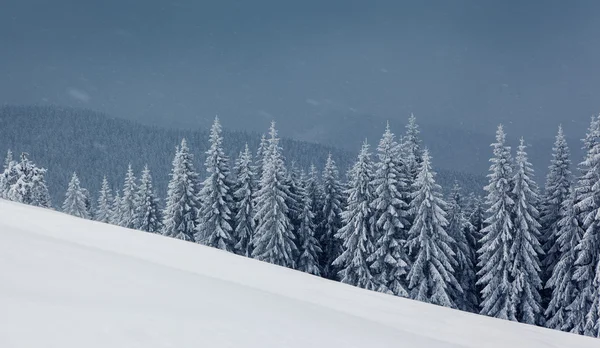 Iarna — Fotografie, imagine de stoc