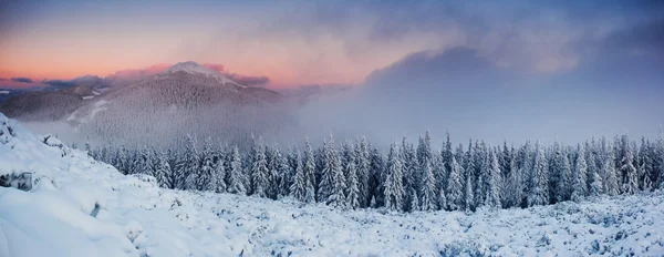 Vinter — Stockfoto