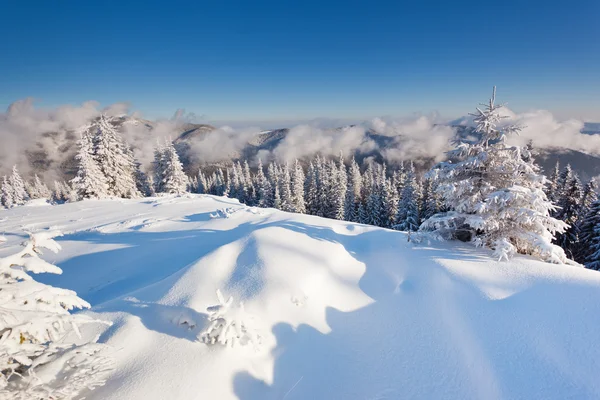 Invierno — Foto de Stock