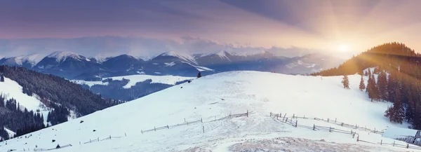 Inverno — Fotografia de Stock